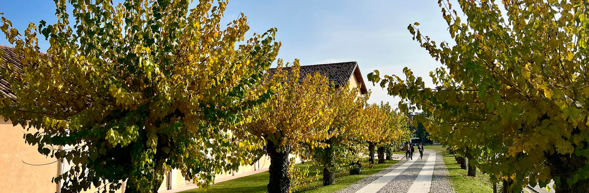 Terroir 2010 banner