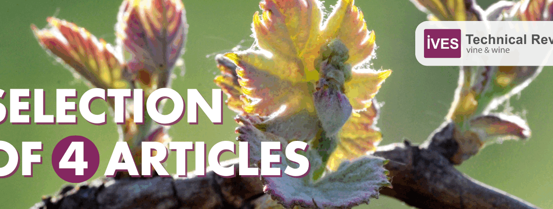 Articles selection: budburst and spring frost