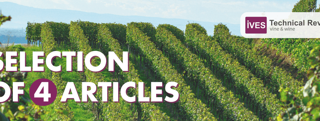 Articles selection: the vine canopy management