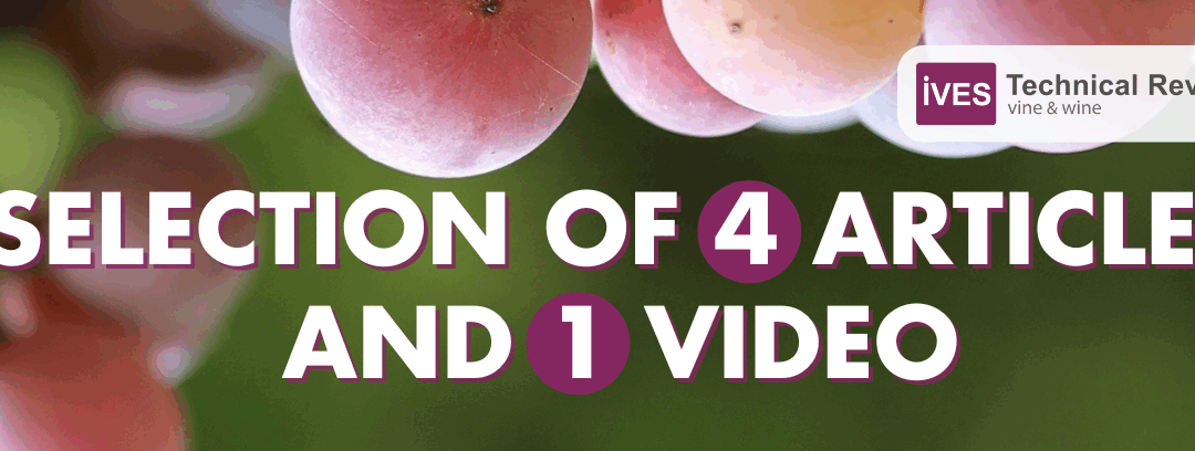 Articles selection: veraison and environmental challenges, Part 2