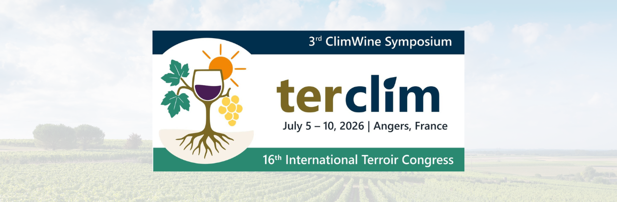 Terroir 2010 banner