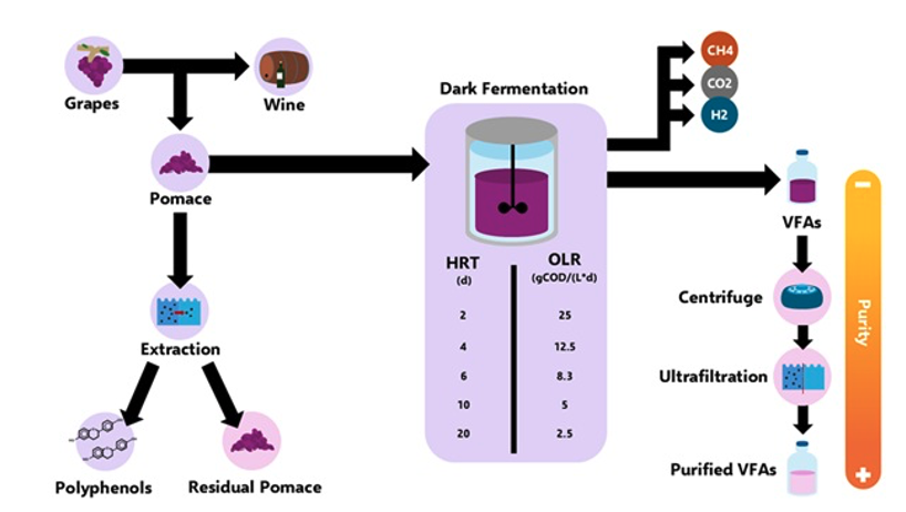 GreenWINE_oral_figure_topic3_2